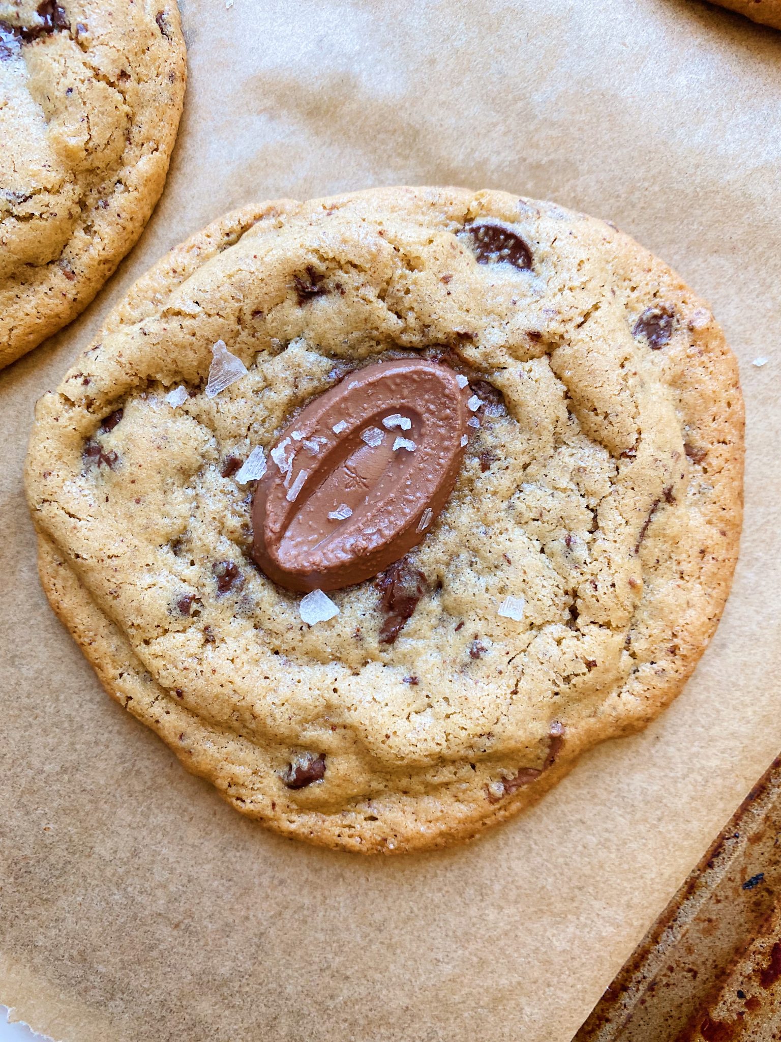 The Ultimate Chocolate Chip Cookie – Cuite Goods